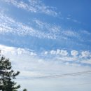 더 설렘 온수 수영장펜션 이미지