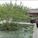 ＜담양 역사기행 미리보기＞ ㅡ 13. 이젠 여행목적지도 날씨 따라서... 이미지