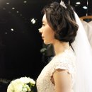 베르노비아