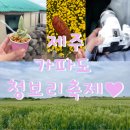 가파 | 제주 가볼만한곳 제주도 2026 가파도 청보리축제 기간 기본정보 후기 가파도 운진항 배타는곳 예약 정보