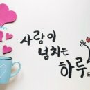 동이네 이미지