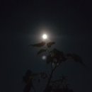 (주)한가위 이미지