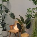 성모봄정신건강의학과의원 이미지