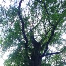 북평터미널 이미지