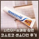 상아약국 | 코스트코할인 센소다인 멀티케어 후기 [시린이 완화 + 상쾌함 + 구취]까지 한 번에!