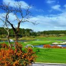 파인비치사우나 이미지