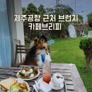 카페브리피
