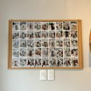 블라썸펫 | 부천 상동 애견미용 내돈내산 추천 블라썸펫, 배냇미용부터 4년째 다니는 후기