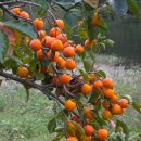 오천 주유소 이미지