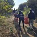 안덕면 장구난타 이미지