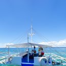 탑스카케어 | 세부 여행 후기 3박5일 꿀팁 동남아 휴양지 추천