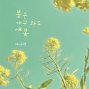 하나린 Daum카페