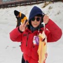 송어축제 이미지