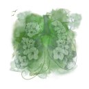 담양 가족의 1년 고백: 병원을 끊고 약골 조카와 당뇨 전단계 제부를 살려낸 죽염차의 기적