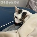 참좋은동물병원 이미지