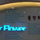 반석플라워 이미지