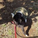 이도씨 동물의료센터 이미지