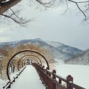 와송만두