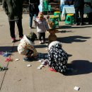 한성백제협동조합 이미지