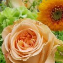 재화꽃집 이미지