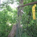 쌍봉1리(웃강거리) 이미지