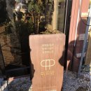 피피팜 | 일산 반려동물 동반 카페 피피팜 후기 아이랑 가기에도 좋은 곳