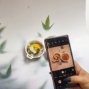 그린맘마 펫푸드 이미지