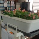 주식회사 미션글로벌