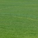 생명의 그물 2 이미지