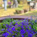 한솔이네 한옥 이미지