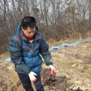 건희목장 이미지