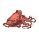 Octopus Collection 이미지