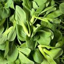 도안농장 이미지