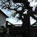 곽지리경로당 이미지