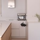 카멜레온 디테일 이미지