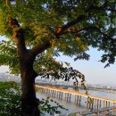 내려놓음 | [내려놓음과 독서] 강의 후기