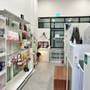 진이애견 이미지