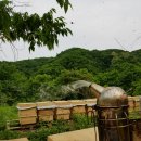 내검농장 이미지