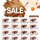 렌즈타운 이미지