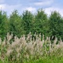 황산공원(황산B) 이미지