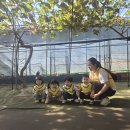 세인농장 이미지