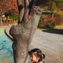 대림햇살어린이집 이미지