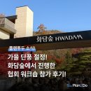 (주)모노테크놀로지코리아 | 가을 단풍 절정인 곤지암 리조트에서의 워크숍 및 화담숲 트레킹 후기!