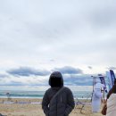 해운대 - 해운대구 세실로69번길 15 | 해운대