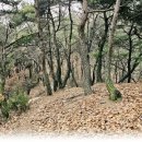 세븐일레븐동화마을 네이버블로그