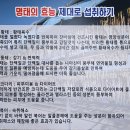 황금명태본가 이미지