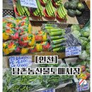 남촌농수산물시장(식자재동_1) | 싱싱한 과일 채소 저렴한 곳, 인천 남촌 농산물 도매시장 에이스농산다녀왔어요~