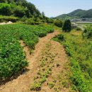 남해-165 이미지