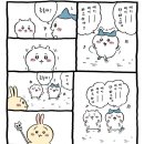 노는게젤조아