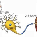 비엠케어 이미지